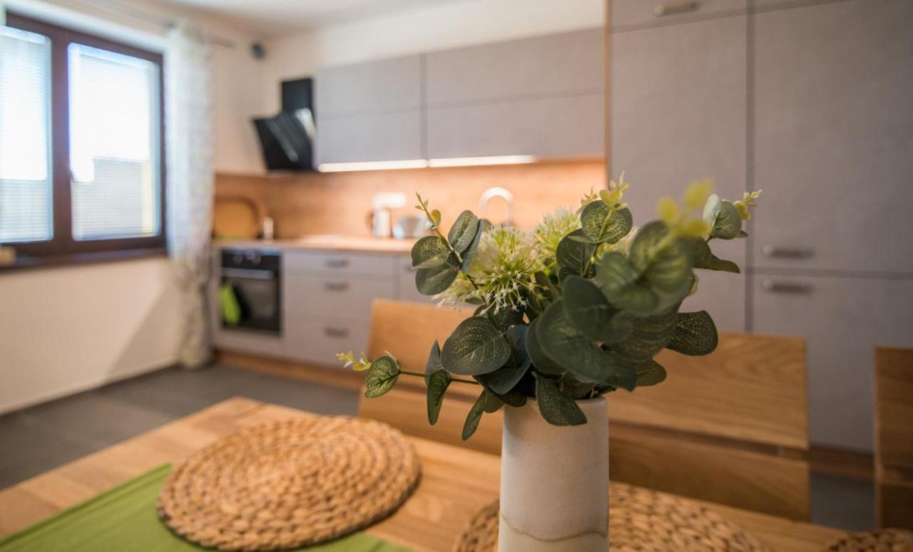 Astra Lipno Apartment Фримбурк Екстериор снимка
